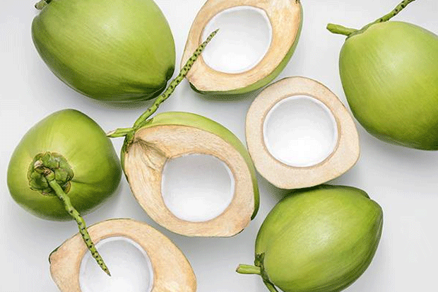 perbedaan kelapa hijau dan kelapa muda